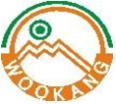 Wookang High Precision (찭Т)